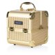 MAKUEP CASE ICE CUBE MINI GOLDISH (MB152M K105-2HA)