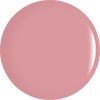 PALE MARSALA 039
